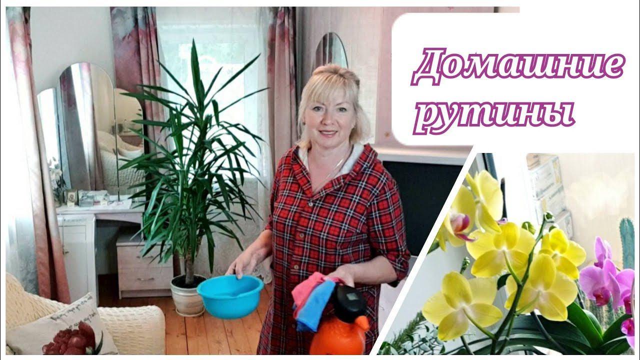 На даче дожди. Домашние рутины. Навожу порядок, готовлю обед и завтрак. Цветы в квартире. смотреть онлайн