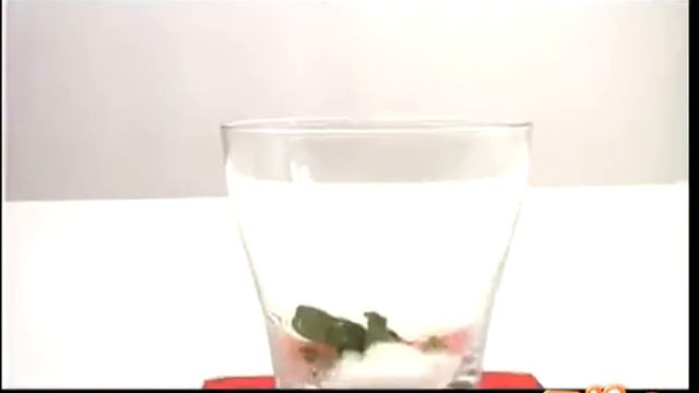 Коктейль Мятный джулеп (Mint Julep) смотреть онлайн