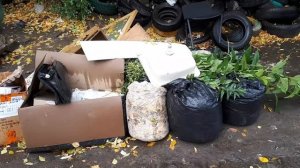 ЛАЗАЯ ПО МУСОРКАМ РОССИИ ПОИСК МЕТАЛЛОЛОМА БЕЗ МЕТАЛЛОИСКАТЕЛЯ НА СВАЛКЕ КАК ЗАРАБОТАТЬ ДЕНЬГИ? #11