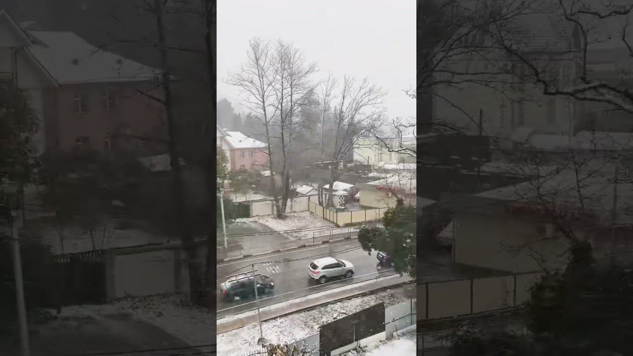 Аномальная зима в Сочи. Снегопад. #сочи #отдыхвсочи #житьвсочи смотреть онлайн