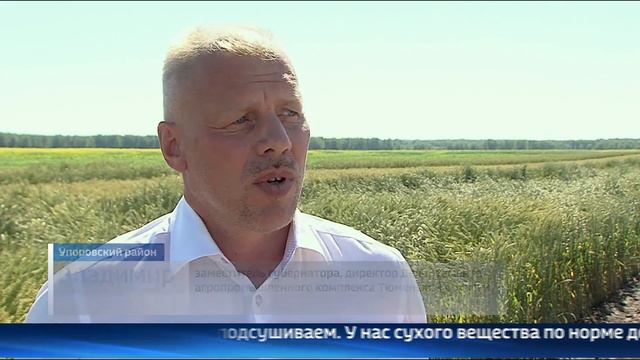 Как идет кормозаготовительная кампания в Упоровском районе смотреть онлайн