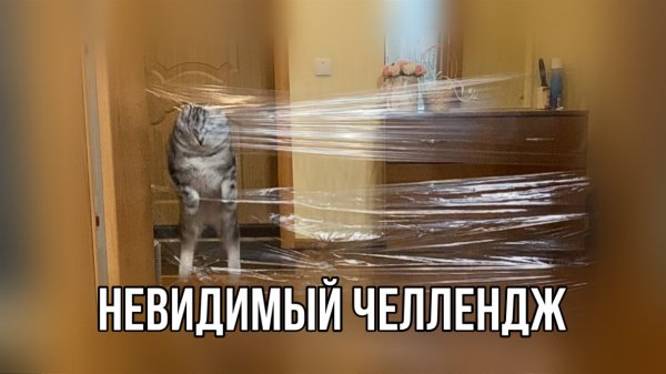 Невидимый челлендж