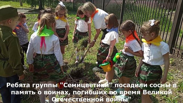Эколята-дошколята