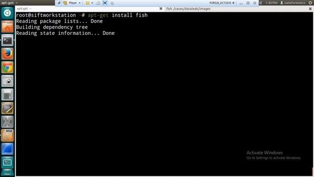 SANS SIFT - Install Fish смотреть онлайн
