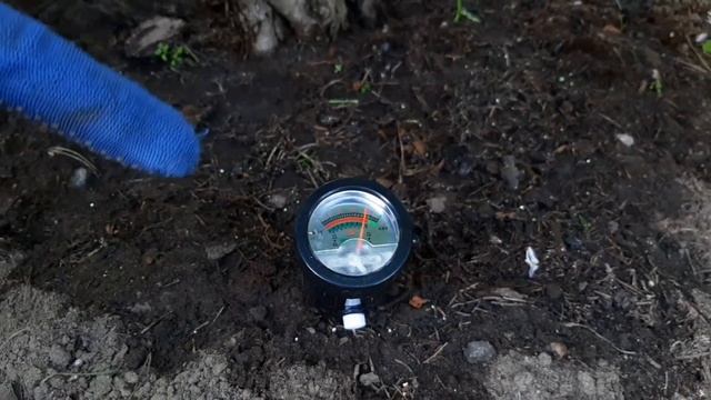 ГОРТЕНЗИЯ. Подкормка и уход - весна - лето. смотреть онлайн