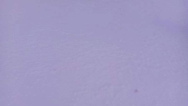 ЛЫЖНАЯ ПРОГУЛКА смотреть онлайн