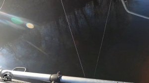 DUO Realis jerkbait 130 sp против O.S.P. Rudra 130sp. Воблерная заруба.