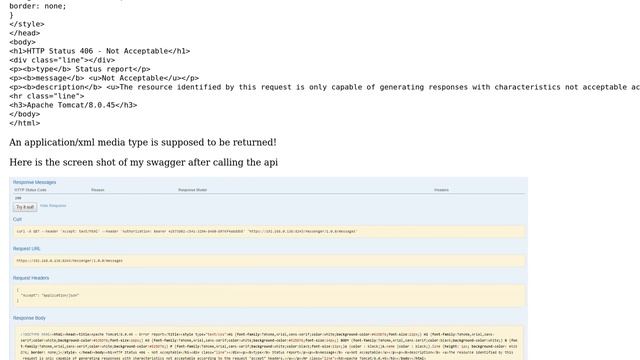 wso2 API Manager, java Restfull Endpoint can't be found when calling the API through the swagger смотреть онлайн