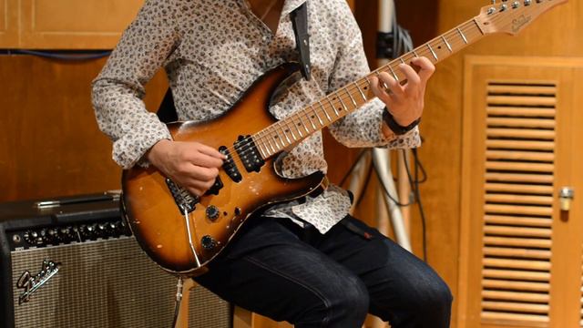 [COVER] Vista Grande - Steve Morse Band смотреть онлайн