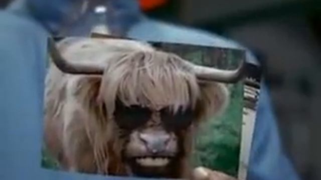 orbit white cow ad 3 смотреть онлайн