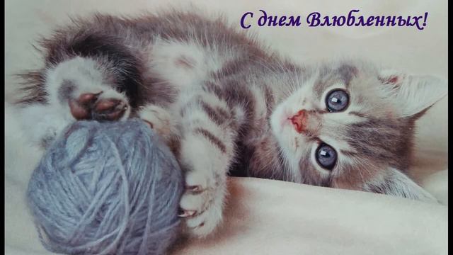 Поздравление с днем Святого Валентина. С днем влюбленных! With Valentine's Day. смотреть онлайн