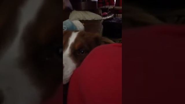 Kilo eating things whole смотреть онлайн