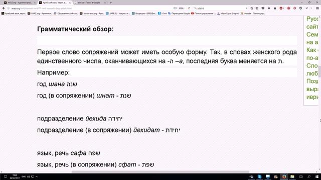 290. Новости на иврите с переводом. Собака-спасатель выучила идиш смотреть онлайн