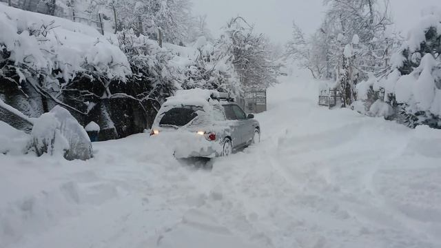 Subaru Forester in snow....2016/01/25 смотреть онлайн