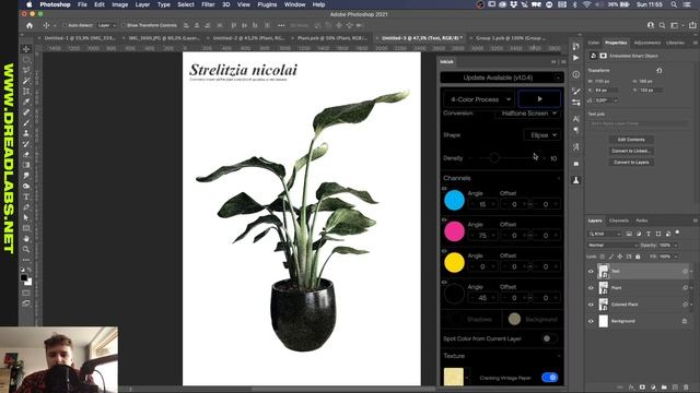 How to make Vintage Scientific Plant Posters in Adobe Photoshop смотреть онлайн