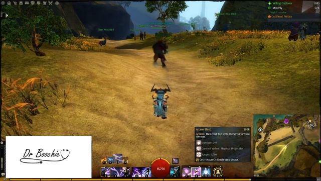 Guild Wars 2: Elementalist Scepter/Dagger Support/Damage PvE Build смотреть онлайн