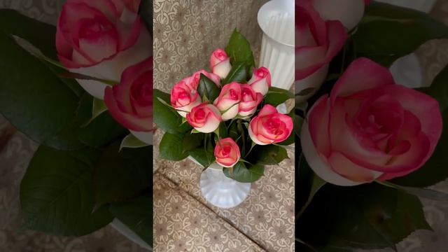 Что сделать, чтобы Розы очень долго стояли красивыми и свежими смотреть онлайн