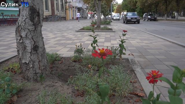 Престижная профессия 24 08 23 смотреть онлайн