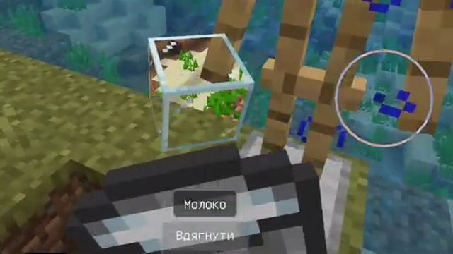 Лайфхак! Водяний іксрей ?? смотреть онлайн