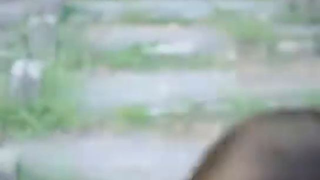 Я не тупая 2 Она делает ЭТО языком смотреть онлайн