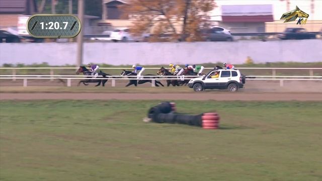 11-я Скачка. Приз Императрицы Екатерины II. Краснодарский ипподром. 16 октября 2021 смотреть онлайн