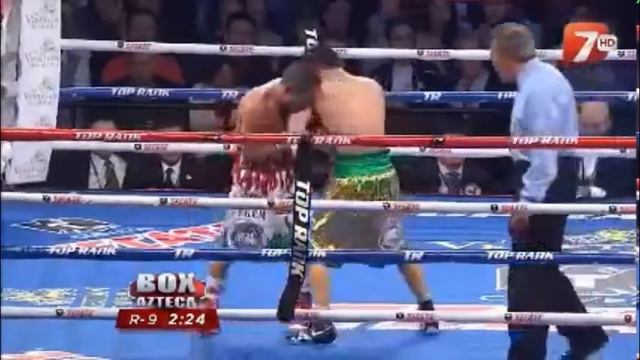 MEJORES GOLPES DE GALLO / Best blows juan francisco gallo estrada p1 смотреть онлайн