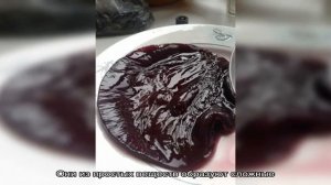 Как вырастить винный, чайный, рисовый, кефирный и молочный гриб в домашних условиях с нуля?