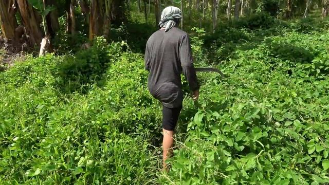 Sony 4K Camcorder FDR-AX43A Outdoor Footage Philippines