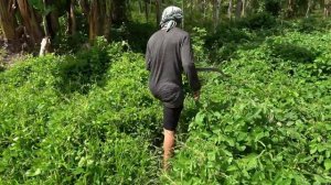 Sony 4K Camcorder FDR-AX43A Outdoor Footage Philippines