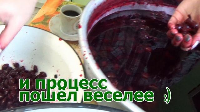 Как приготовить ткемали весело и вкусно смотреть онлайн