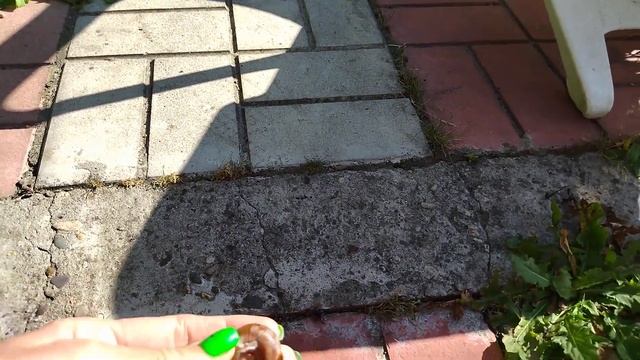 Отдых в бассейне ?♀️? смотреть онлайн
