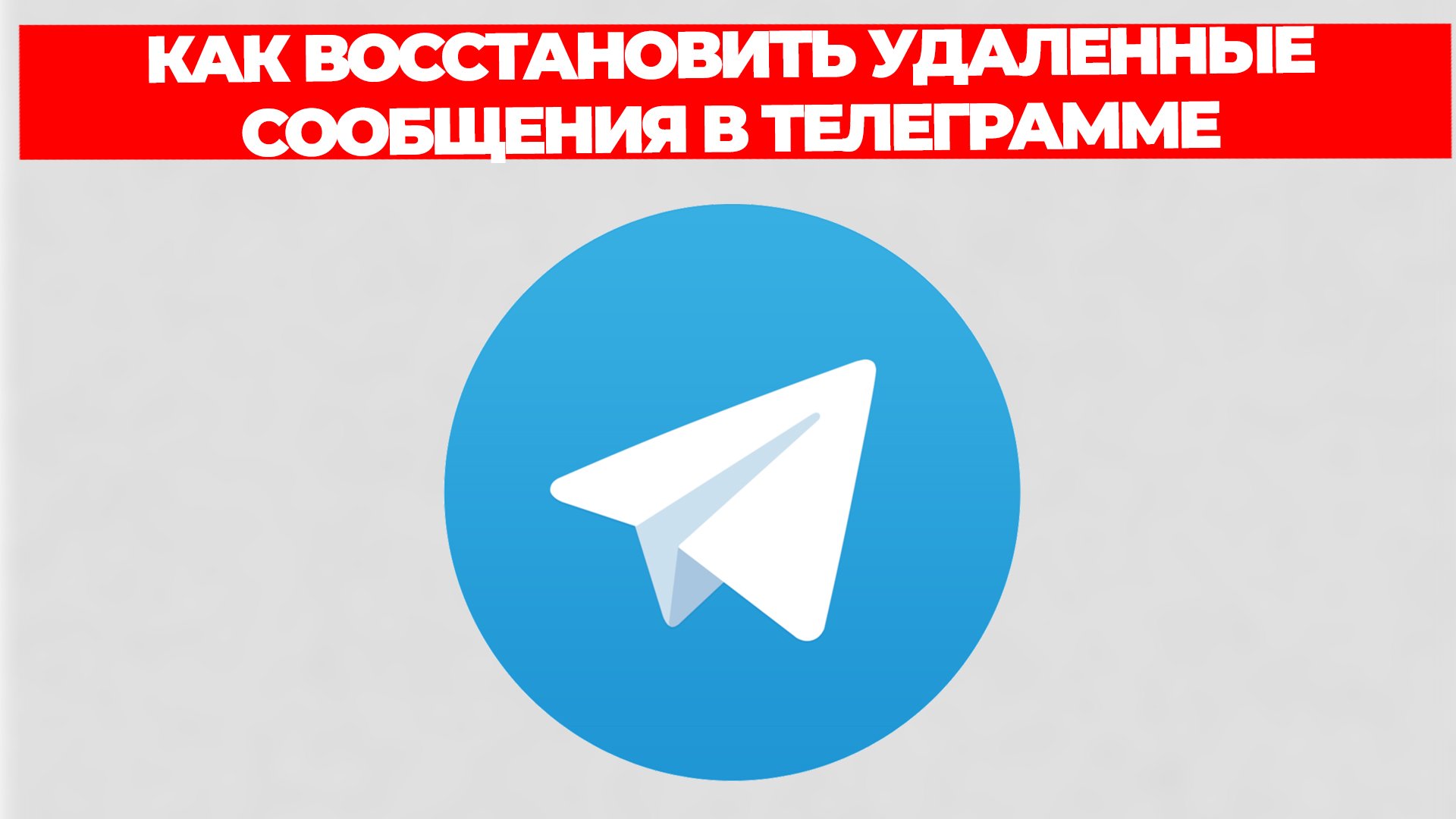 Всезнающий Енот