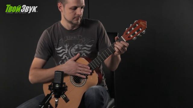 Oscar Schmidt OCHS 1/2 смотреть онлайн
