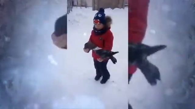 "Покормите птиц" смотреть онлайн