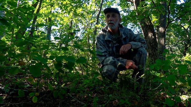 ГРИБЫ РЯДОВКИ КТО НЕ УСПЕЛ ТОТ ОПОЗДАЛ. Грибы Дальнего Востока. Тихая охота. смотреть онлайн