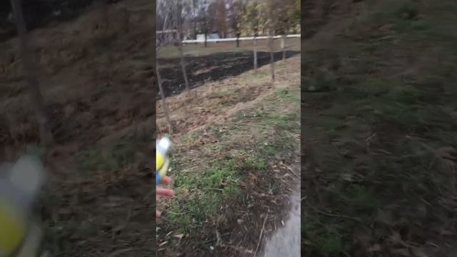 Ищем щенят (часть вторая) смотреть онлайн