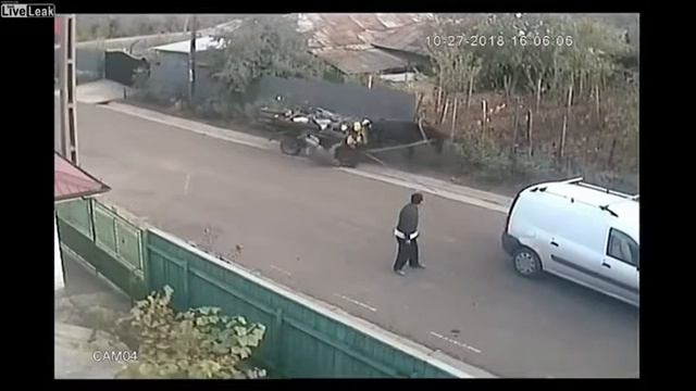 Самой трезвой была лошадь смотреть онлайн