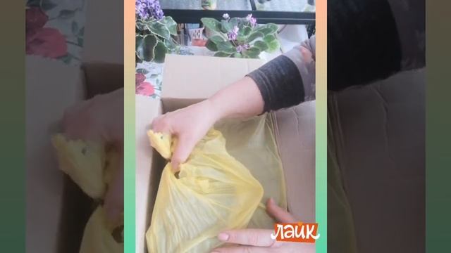 Распаковка смотреть онлайн