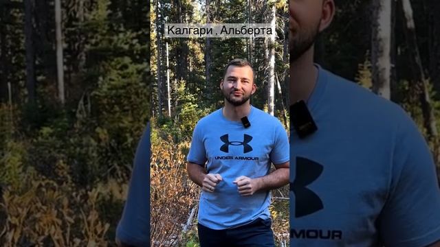 Калгари, Альберта | Что Посмотреть #калгари #канада #риэлтор смотреть онлайн