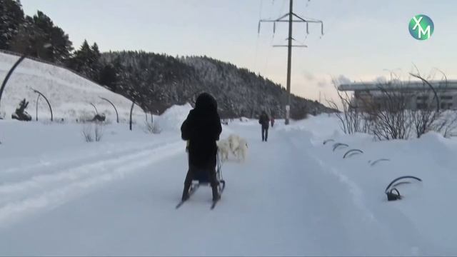 Куда сходить на новогодних каникулах в Ханты-Мансийске смотреть онлайн
