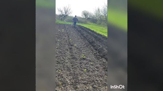 Проверка Грунтозацэпов для мотоблока. смотреть онлайн