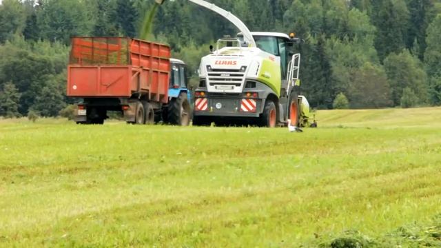 Качество кормов - залог здоровья коров смотреть онлайн