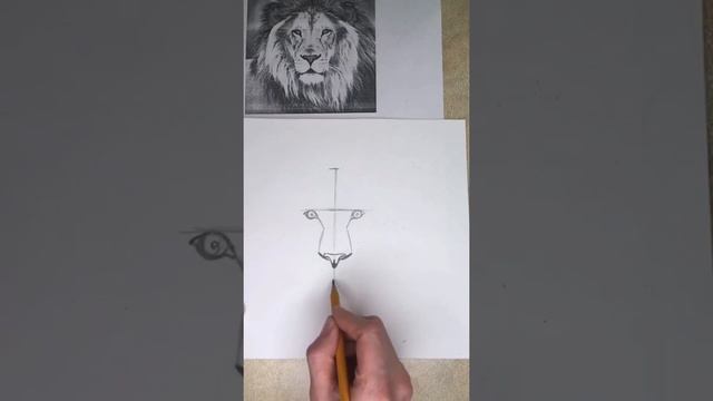 #живопись#рисование# Вебинар карандаш "Лев" от Центра Развития личности "Слушай свое тело" смотреть онлайн