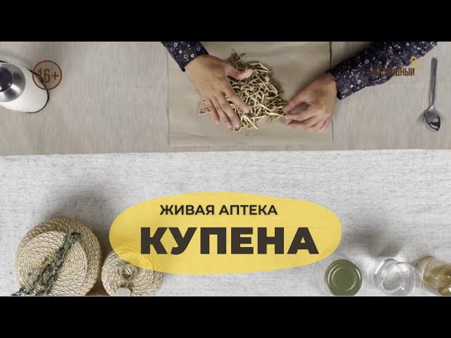 Купена // Живая аптека