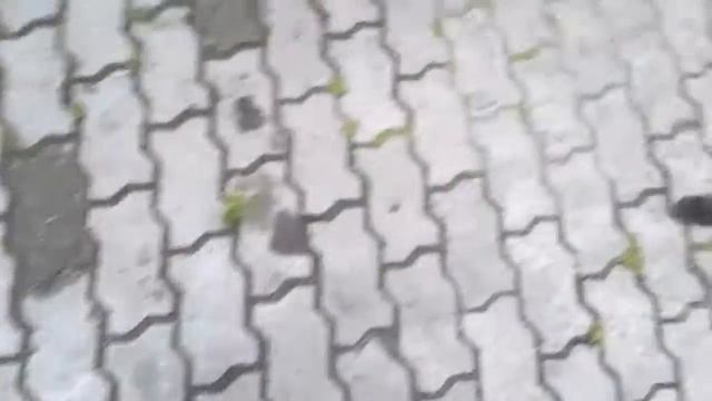 Химчистка машины своими руками смотреть онлайн