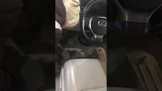 Химчистка итальянским парогенератором BIEFFE CARWASH