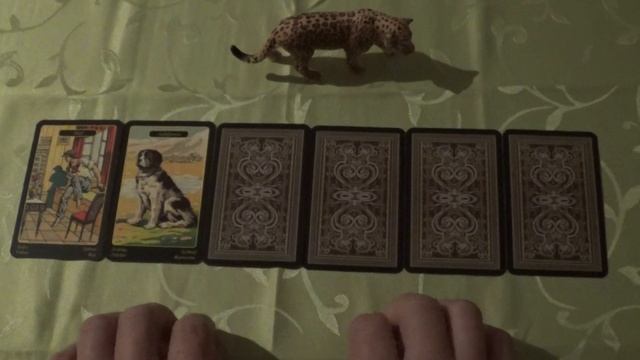 Oracle Draw for 13.-26.07.2020 (Gypsy Oracle Cards, ASMR-style) смотреть онлайн