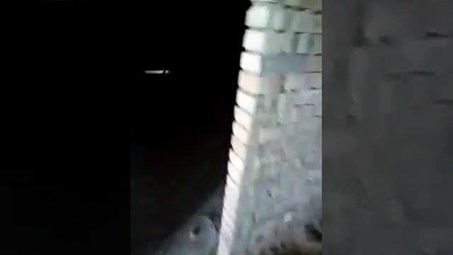 Polynor в действии