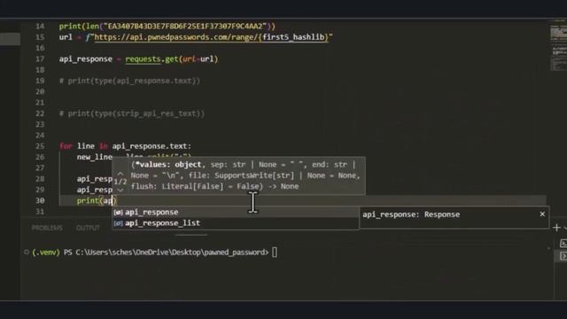 Mastering Password Security: Interacting with Pwned API using Python смотреть онлайн