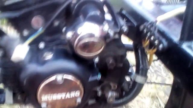 Китайский четырехтактный двигатель 163fml на мотороллер муравей для истории